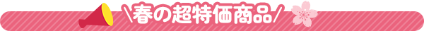 春の超特価商品