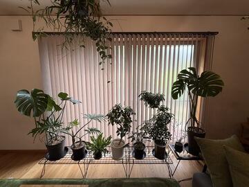 「ガラスシートとブラインドでいい雰囲気になりました」窓周り　安来市S様邸